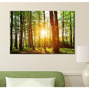 Canvas Prints Wall Art - Sunrise Peeking Through a Green Rainforest | Modern Wall Decor/Home Decoration Stretched Gallery Canvas Wrap Giclee Print. Ready to Hang - 12" x 18"