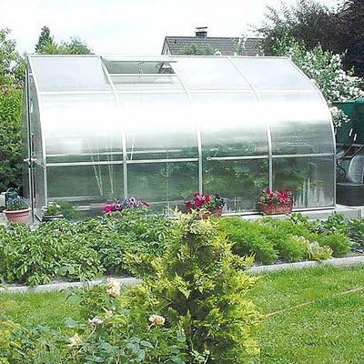 Riga IV Polycarbonate Commercial Greenhouse Size: 7'8" H x 9'8" W x 14' D