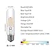 Dimmable Edison Led Tubular Bulb T10, 4W Vintage Led Filament Light Bulb, 40W Equivalent, 2700K Soft White, E26 Medium Base,Clear Glass Bulbs,for Display Cabinet Showcase Piano, 6 Pack