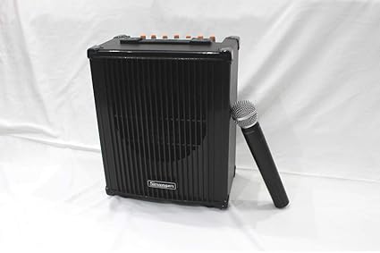 stranger sound box price