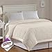 Madison Park Windom Down Alternative Blanket, Premium 3M Scotchgard Moisture Wicking Treatment, Lightweight and Soft Bed Cover For All Season, Satin Trim, Cream Twin