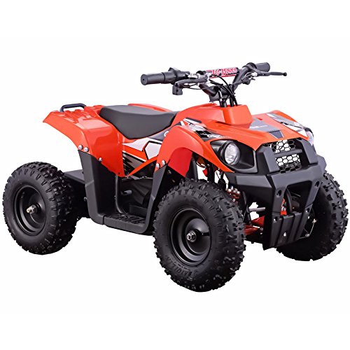 Go-Bowen Monster 500W 36V Electric Kids Ride-On Mini Quad ATV Brushless, Orange