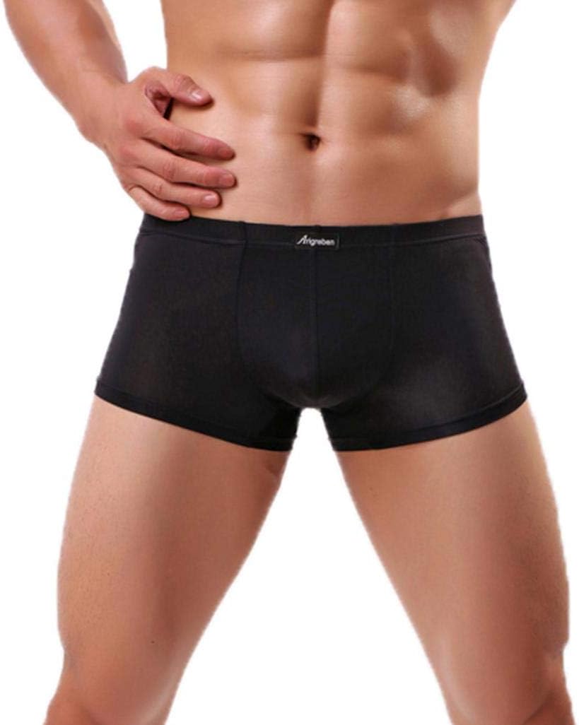 Arigreben Men's Sexy Ice Silk Breathable Mesh Boxer Briefs，Men Sexy Underwear Letter Printed Boxer Briefs Shorts Bulge Pouch Underpants