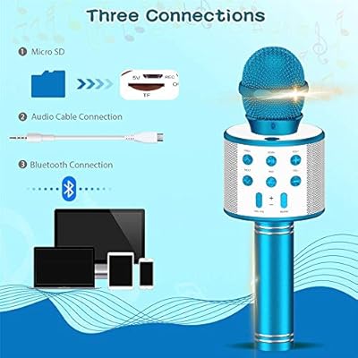 reverb microphone toy