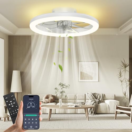 Nalezuns Ceiling Fan with Light, 40 cm Ceiling Fan, Quiet Remote Control, 3 Colour Temperatures and 6 Speeds, Silent Ceiling Fan for Living Room, Bedroom, Kitchen
