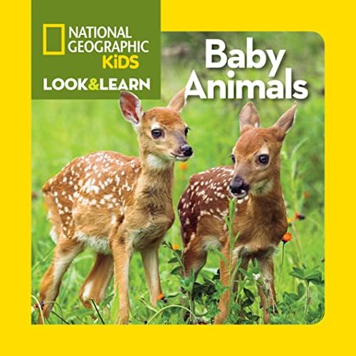 Amazon.com: National Geographic Kids Look & Learn: Peekaboo