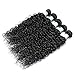 Perstar 8A Grade Uprocessed Brazilian Water Wave virgin hair 4 Bundles Remy Human Hair Natural Color (10 12 14 16, Natural Color)