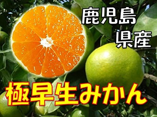 Amazon 鹿児島県産 訳あり 極早生みかん 1箱 5kg入り サイズ s 2l混合 スター鹿児 みかん 柑橘類 通販