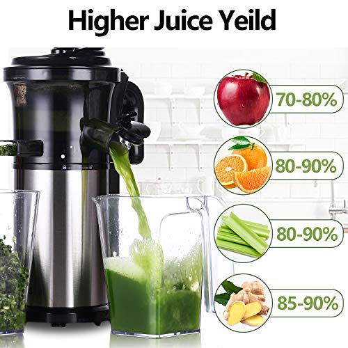Aobosi Slow Masticating juicer Extractor, Cold Press Juicer Machine