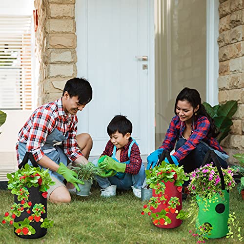 Upside Down Planter Tomato Herb Strawberry Grow Bags Garden Growing