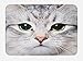 Ambesonne Animal Bath Mat, Cat Print Kitten Kitty Face Look Closeup Portrait Digital Photography Domestic Pet, Plush Bathroom Decor Mat with Non Slip Backing, 30.2