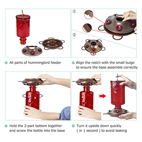 Bolite 18005 Hummingbird Feeder Glass Hummingbird Feeders 5