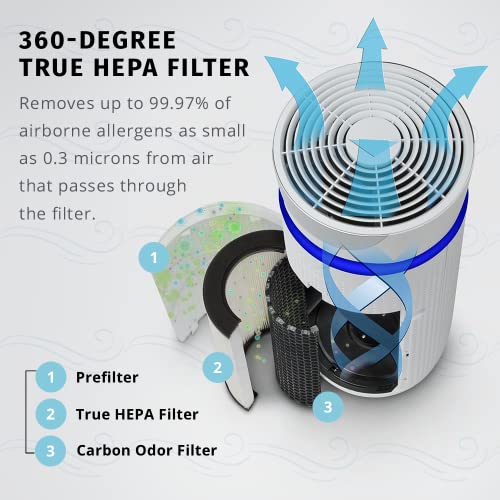 HoMedics TotalClean 3in1 True HEPA Filter Replacement for Air