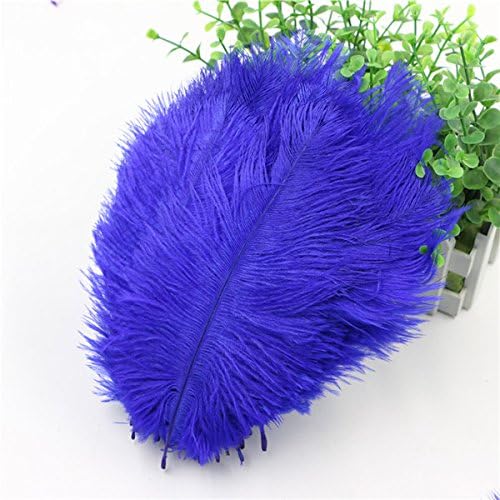 WAKEACE Ostrich Feathers 20 Pieces 7-10 inch \ 18-24CM DIY Wedding Dress Feather Dance Craft