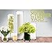 CYS EXCEL Cylinder Clear Glass Vase (H:5.9