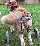 Adjustable Dog Wheelchair (M), Hip Height 16