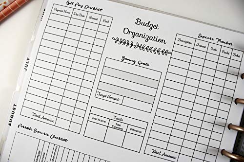 Monthly Budget at A Glance Inserts for 11-Disc Big Happy Planner, Big Happy Planner Budget Organization, Big Happy Planner Bill Pay, Expense Tracker, Possible Expenses