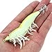 Lixada 5pcs 12cm/21g Noctilucent Fishing Shrimp Lure Prawn Squid Bait Hard Artificial Fishing Set with Squid Jigs Hook Lead Weighted