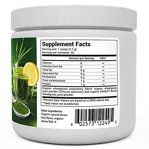 Dr. Berg's Raw Wheatgrass Juice Powder (60 Servings) USDA Certified