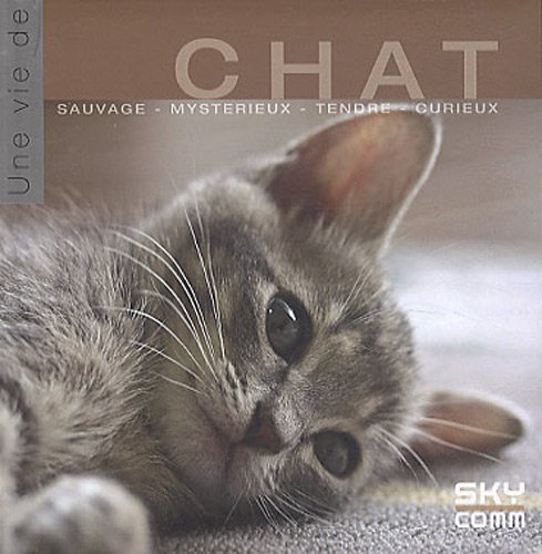 Chat