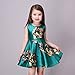 Kidscool Little Girls Sleeveless Yellow Rose Print Green Princess Dress