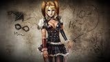 Harley Quinn Batman Arkham City Fabric Cloth Rolled Wall Poster Print -- Size: (43