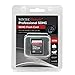 Wintec 3FMSD32GBC10-R Filemate 32 GB Professional Class 10 Secure Digital SDHC Card
