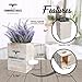 3-in-1 Countree Tissue Box Cover Square: Rustic Farmhouse Bathroom Decor, Potted Lavender & Wood Tissue Box Holder Cube - Enhance Your Home Decor, Perfect for Living Room, Bedroom, Bathroom Storage