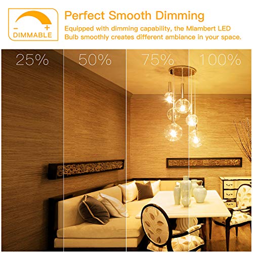 100W Equivalent Filament Edison Bulbs Clear Glass, Dimmable LED Light Bulbs, 10W A21 Vintage LED Blubs 2700K Warm White, Medium Screw Base (E26), 1100 Lumens, 6-Pack