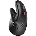 seenda Ergonomic Vertical Mouse with Jiggler - Bluetooth + 2.4G USB Multi Device, Wireless Ergo Mice, Jiggler Mouse Mover for Laptop/PC/Notebook, Computer Mice for Windows, Mac OS (Black)