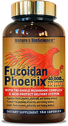 Nature's Bioscience ® FUCOIDAN Phoenix Advanced: 40,000 mg of Pure Organic Fucoidan + 64,000 mg of Pure Mushroom