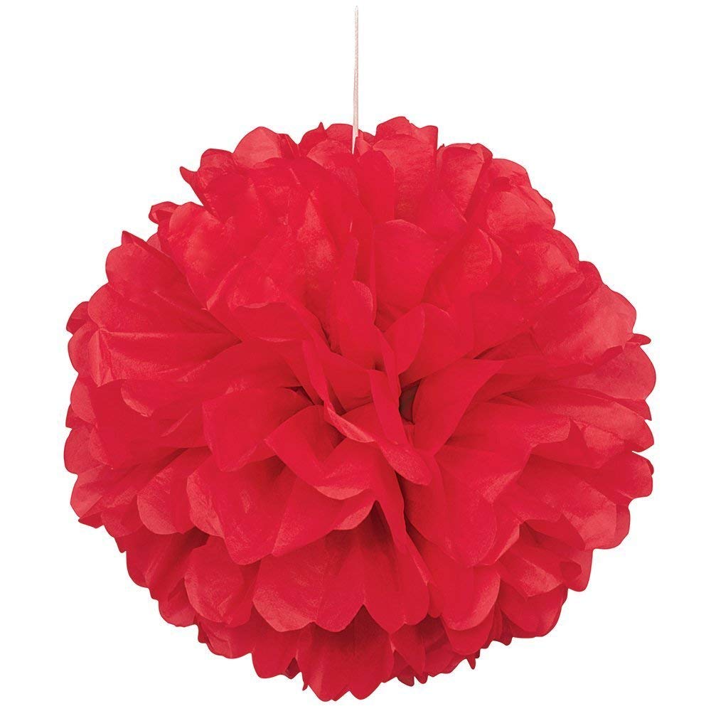 S Shine Set Of 6 Tissue Paper Pom Poms Flower Ball Wedding Party Outdoor Decoration Tissue Paper Flowers Kit Pom Poms Craft 10 Inch Festival Red Buy Online In Grenada At Grenada Desertcart Com Productid