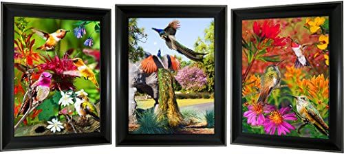 [NEW DESIGNS] 3D Picture with 3 Images in 1; 3D Triple Pics w/Lenticular Poster Artwork Wall Decor Holographic Optical Illusion Animated Image Framed w/(Black Frame) (Peacocks & HummingBirds)