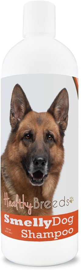 non stinky stuff for dogs amazon