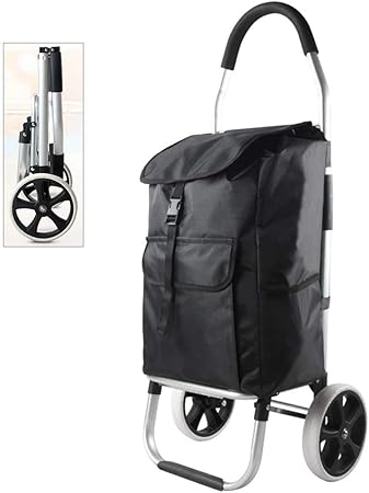 grocery luggage cart