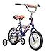 Fun Wheels 12