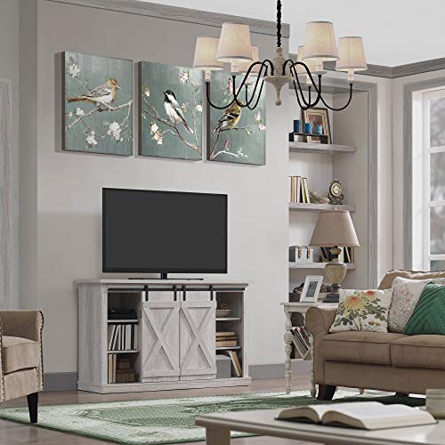 Pamari Sliding Barn Door TV Stand, Sargent Oak Beachfront Decor