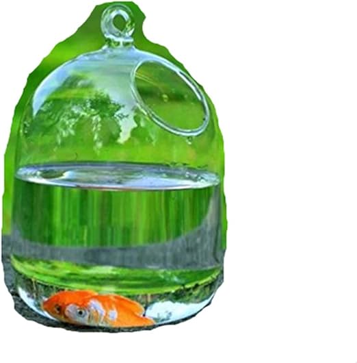 Amazon Com Shina Hydroponic Wall Hanging Bubble Aquarium Fish
