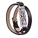 GHIJKL Compatible Fitbit Flex 2 Bands, Metal and Genuine Leather Wristband for Fitbit Flex 2, Flex2 Strap Style (Silver Color Metal/Black Leather)