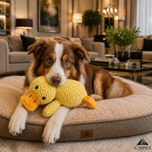 Brinquedo de Pelúcia para Cachorro em Formato de Pato Amarelo Macio e Interativo Ideal para Morder Brincar e Entreter o Pet (Grande, PET)
