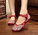 AvaCostume Women's Chinese Embroidery Casual Mary Jane Travel Walking Shoes Red 38