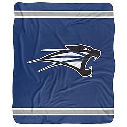 University of Saint Francis