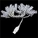 Warmoor 20 LED Photo Clips String Lights, 5M 16ft Fairy Starry Lights Wall Decoration Light for Hanging Photos Paintings Pictures Cards Memos, USB Powered, Warm White