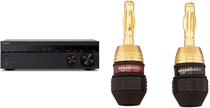 bluetooth receiver multiple speakers