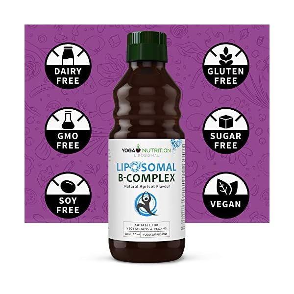 Liposomal-Vitamin-B-Complex-250ml-B1-B2-B3-B6-B7-B9-B12-Liposomal-for-Optimal-Absorption--No-Artificial-preservatives--Supports-a-Healthy-Nervous-System-by-Yoga-Nutrition Liposomal Liquid Vitamin B Complex 250ml (Large) – High Strength, Liposomal Maximum Absorption B Vitamins, Boosts Immune…