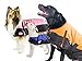 Derby Originals Horse Tough 600D Ripstop Waterproof Winter Dog Coat 150g Medium Weight