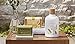 Thymes Bath Soap - 6 Oz - Olive Leaf