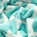 Usual Joy Soft Warm Blanket Picnic Beach Blanket Fleece Blanket Fuzzy Plush Lightweight Throw Couch Bed Blanket King Size (Light Blue, 108