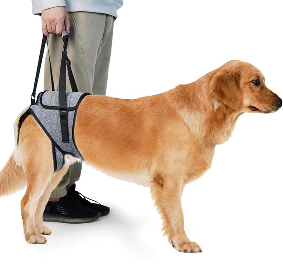 KOMUNJ Lifting Harness Size, Dog Harness for Back Legs, Auxiliary Belt Dog Harness, Rear Legs for Disabled and Injured Elderly Dogs, L