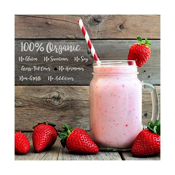 Organic-Whey-Protein-Powder-600g-Unflavoured-and-High-in-BCAAs-with-Free-15g-Scoop-80-Pure-Whey-Protein-from-Grass-Fed-Cows-by-TheHealthyTree-Company TheHealthyTree Company Organic Whey Protein Powder (600g) - Unflavoured and High in BCAAs with Free 15g Scoop - 80% Pure…